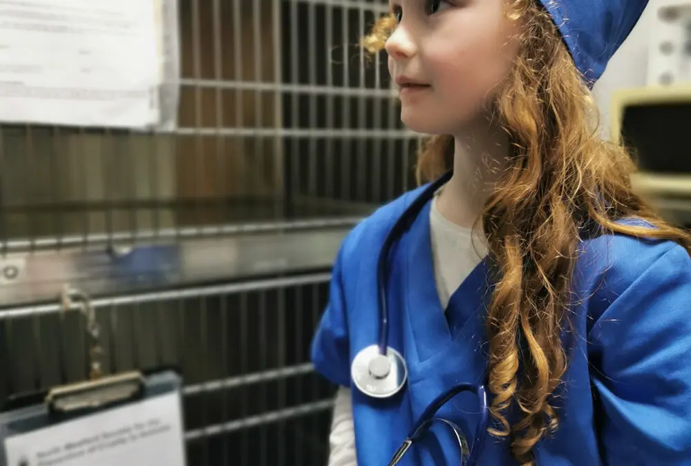 Sprinkles Of Confidence